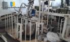 Cozinhador  vcuo para bala Mihama Seisakusho