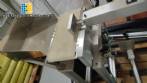 Balana checadora dinmica checkweigher Geos