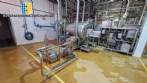 Linha para processamento gel�ias molhos coberturas caldas 450 toneladas por m�s