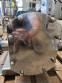Bomba de l�bulos inox 316 Alfa Laval ano 2017 SRU 4