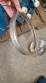 Bomba centr�fuga sanit�ria Castinox com motor WEG 2 CV