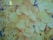 Linha de batata chips palha para 250 kg