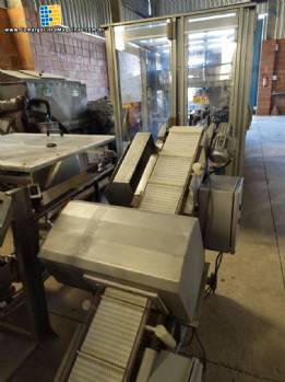 Detector de metais Brapenta