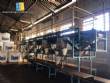 Fabrica linha de seleo limpeza de laranjas packing house